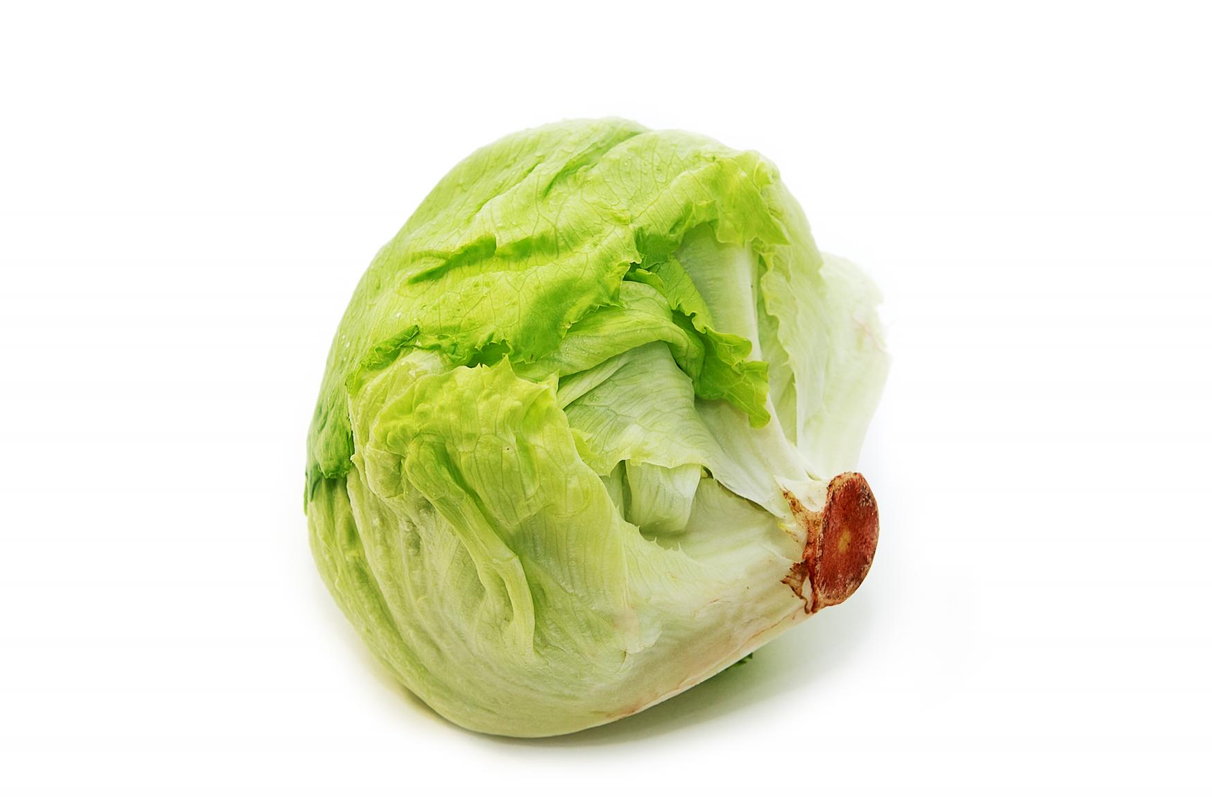 Cabbage